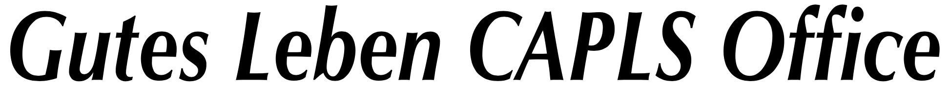 グーテス・レーベン行政書士事務所